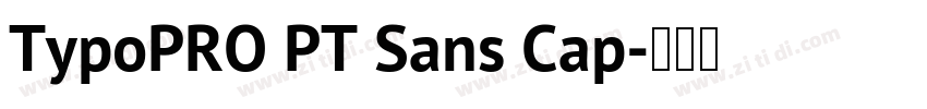 TypoPRO PT Sans Cap字体转换